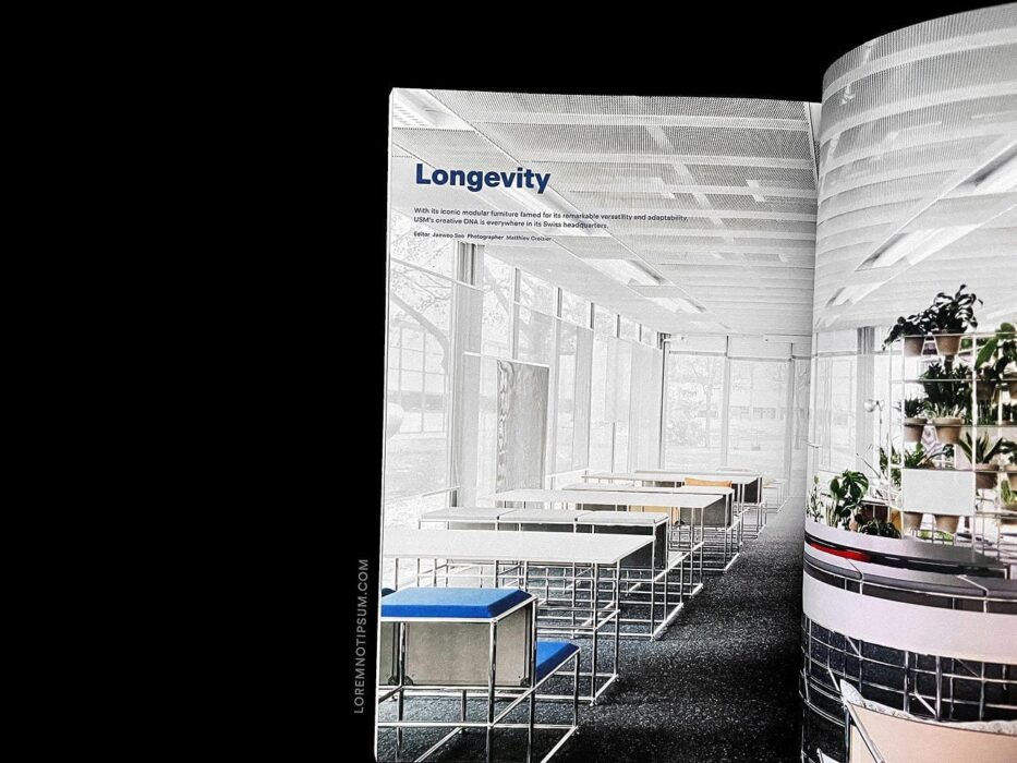 loremnotipsum_magazine-b_issue86-usm_09