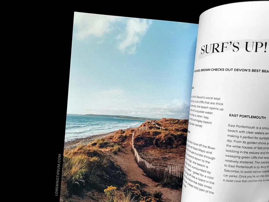 loremnotipsum_maverick-devon-guide_issue1_03