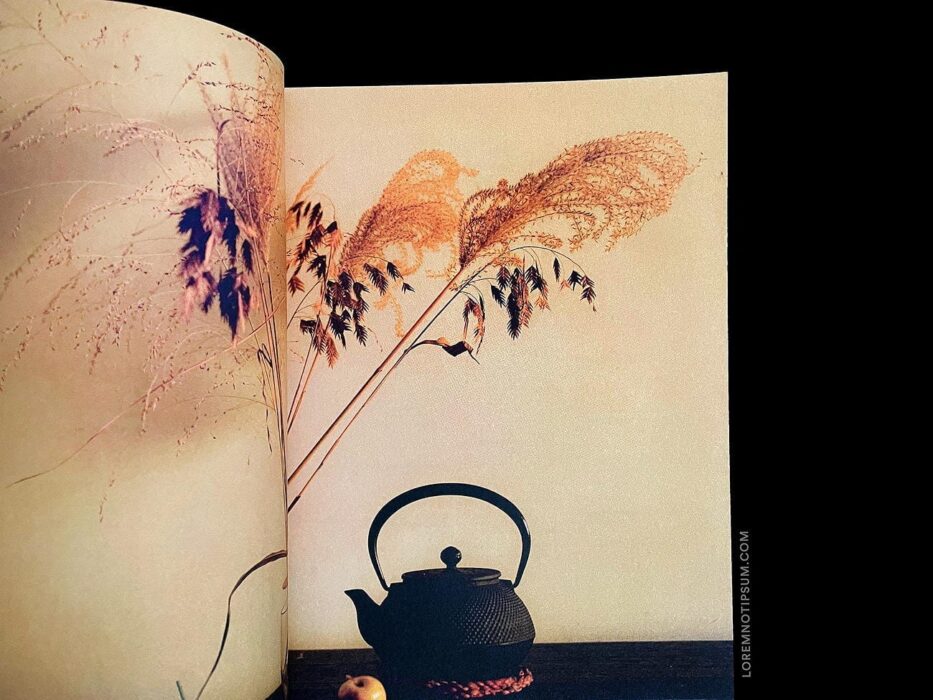 loremnotipsum_minka-magazine_issue2_01