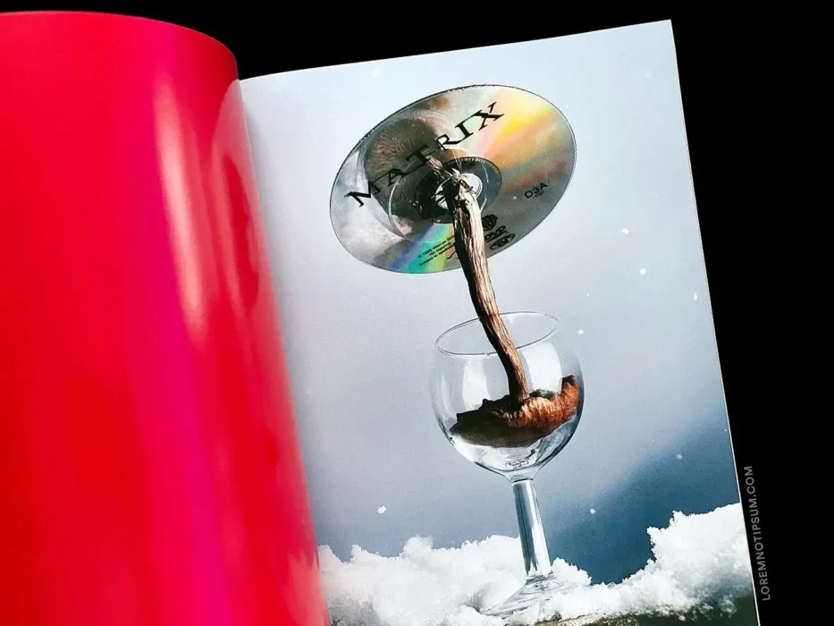 loremnotipsum_ordinary-magazine_issue10_11