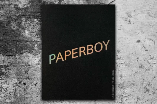 Paperboy Magazine – Issue 3