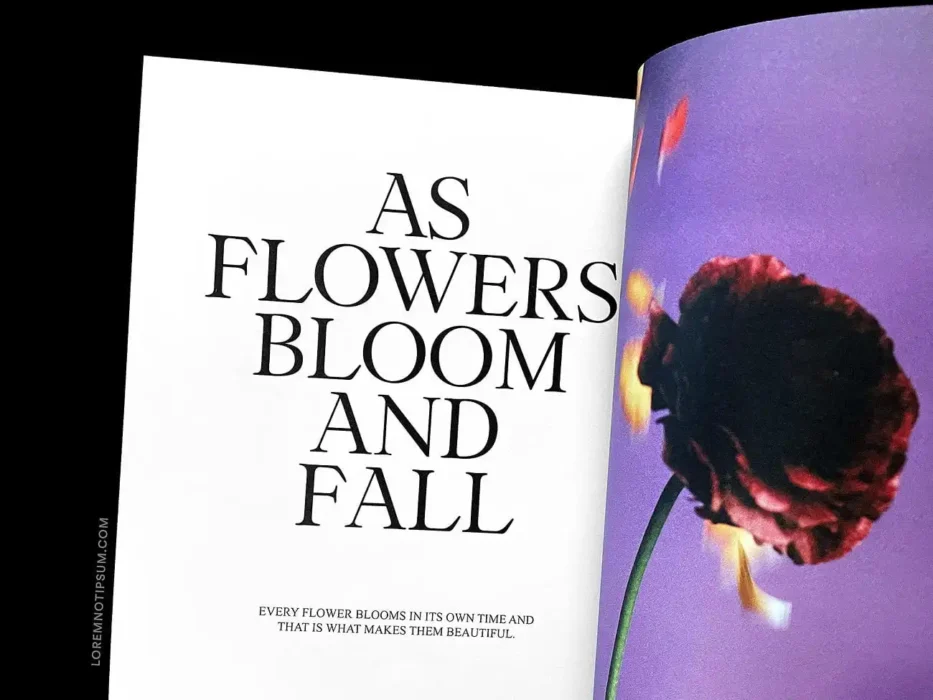 loremnotipsum_plus-magazine_issue3_06