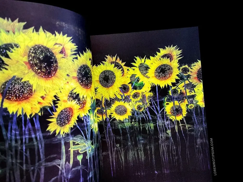 loremnotipsum_plus-magazine_issue3_19