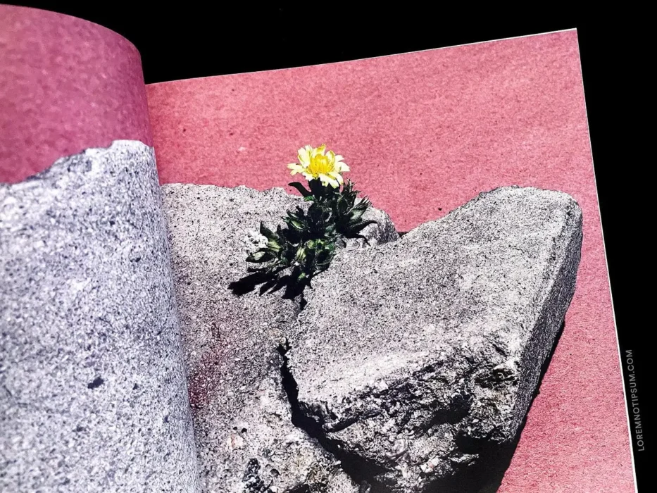 loremnotipsum_romance-journal_issue2_04