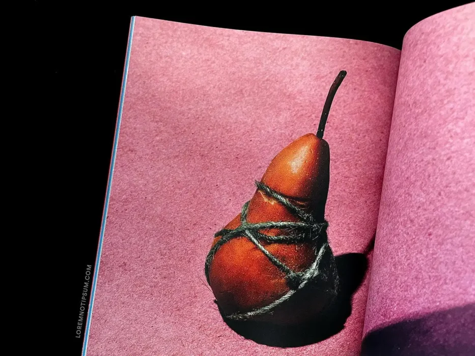loremnotipsum_romance-journal_issue2_13