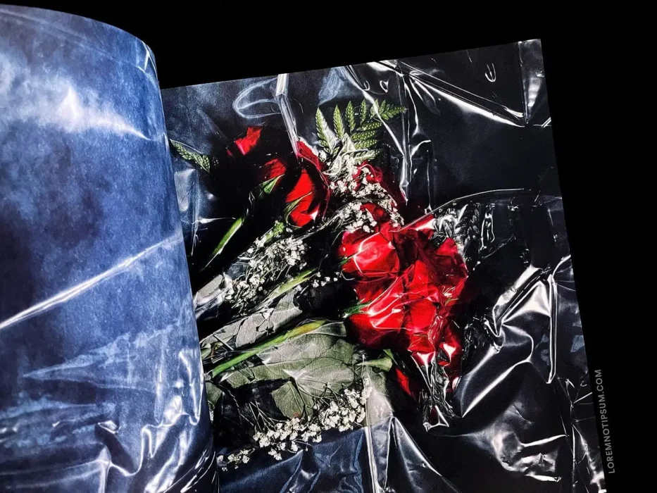 loremnotipsum_romance-journal_issue2_15