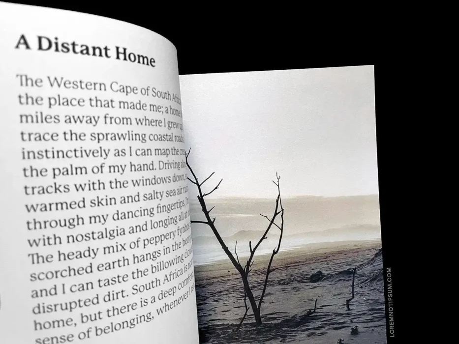 Rucksack Magazine Volume 8 (the Coast Issue) – loremnotipsum.com