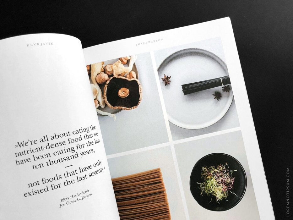 Salt & Wonder Magazine Issue 2 (Reykjavik, Iceland) – loremnotipsum.com