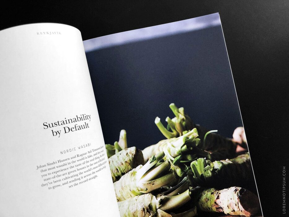 Salt & Wonder Magazine Issue 2 (Reykjavik, Iceland) – loremnotipsum.com