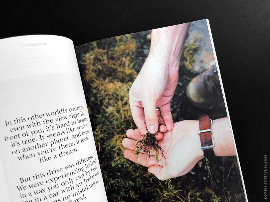 Salt & Wonder Magazine Issue 2 (Reykjavik, Iceland) – loremnotipsum.com