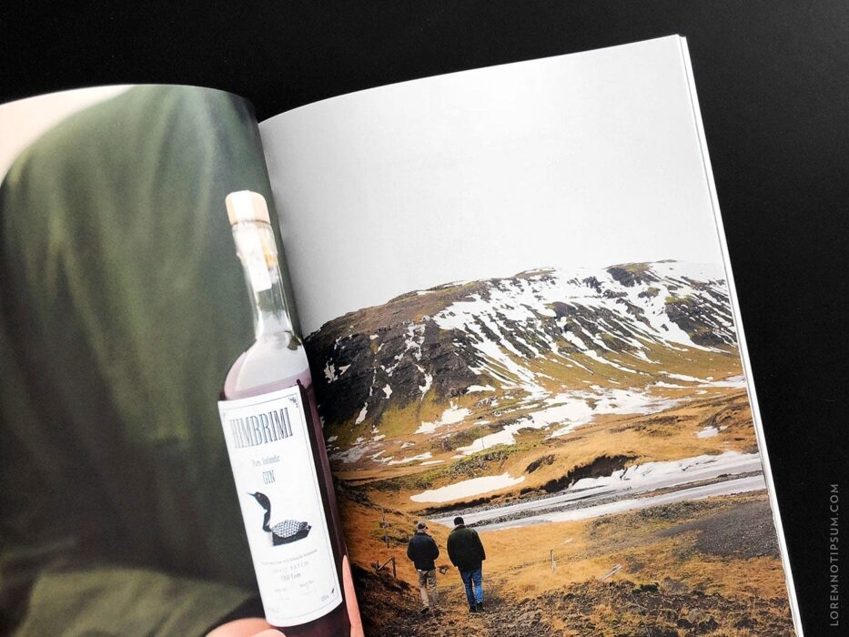 Salt & Wonder Magazine Issue 2 (Reykjavik, Iceland) – loremnotipsum.com