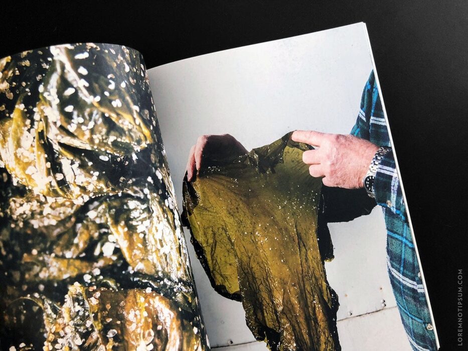 Salt & Wonder Magazine Issue 2 (Reykjavik, Iceland) – loremnotipsum.com