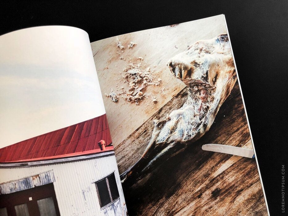 Salt & Wonder Magazine Issue 2 (Reykjavik, Iceland) – loremnotipsum.com