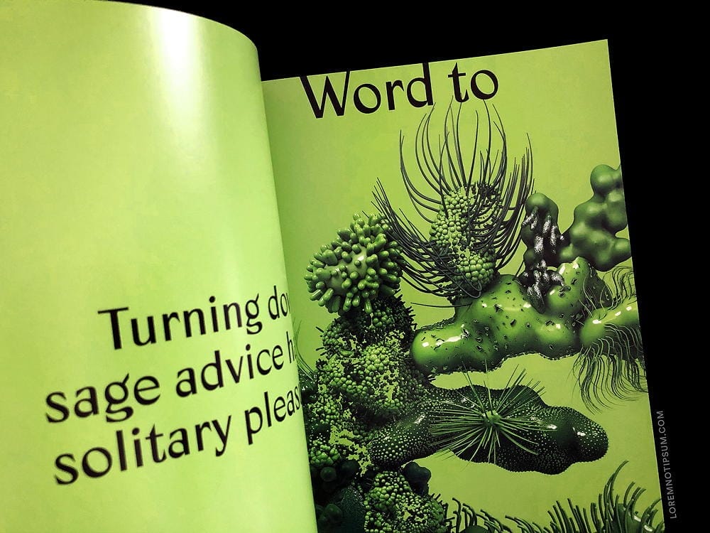 Sindroms Magazine Issue 5 (Evergreen) – loremnotipsum.com