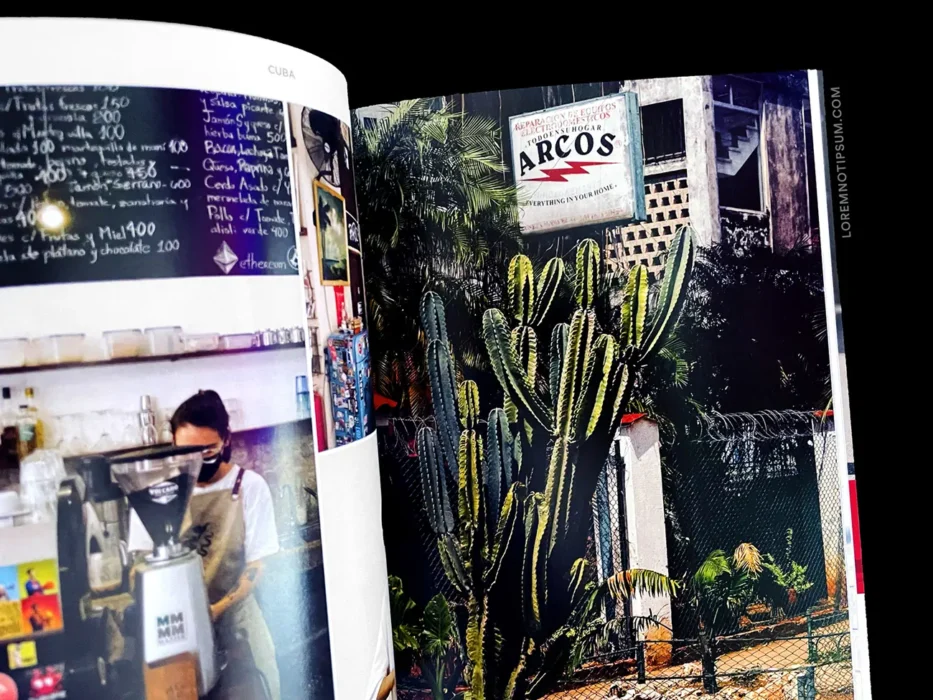 loremnotipsum_suitcase-magazine_issue37_08