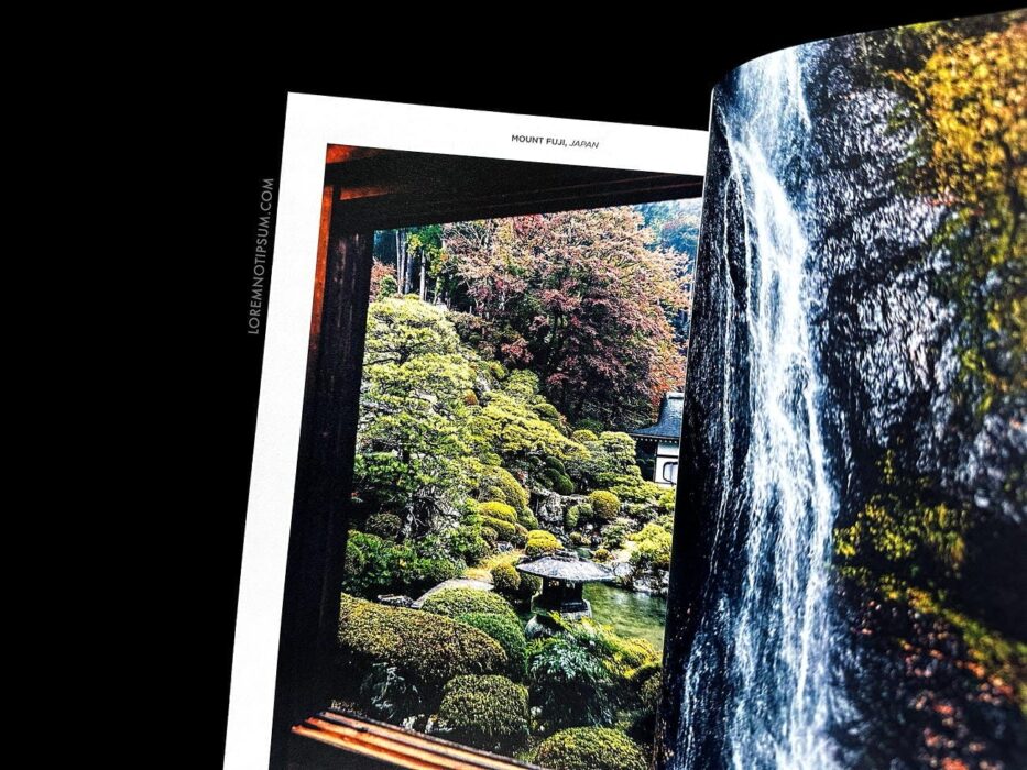 Suitcase Magazine Volume 39 – loremnotipsum.com