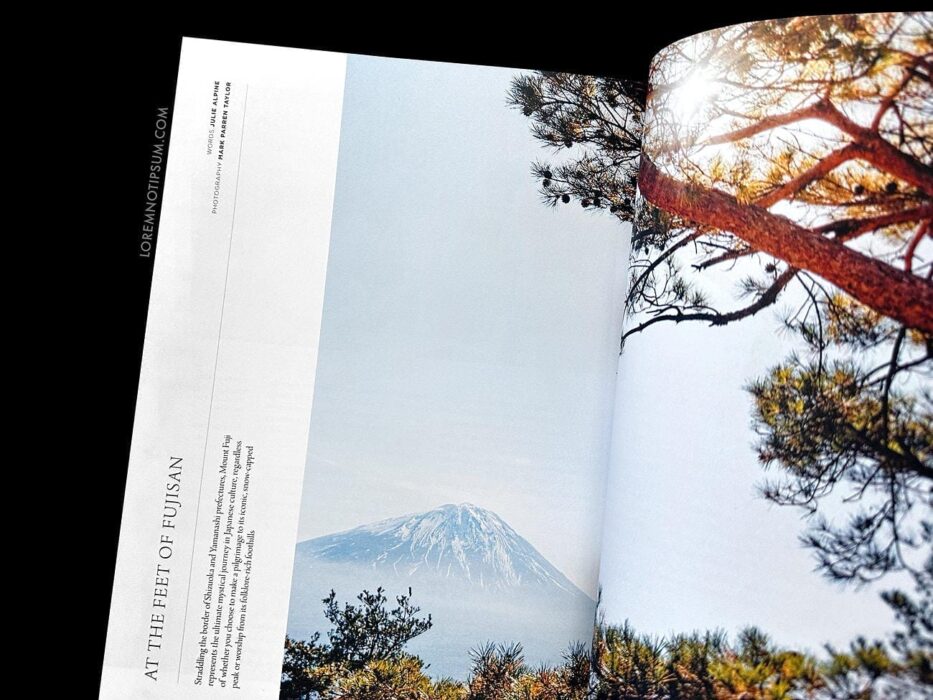 Suitcase Magazine Volume 39 – loremnotipsum.com