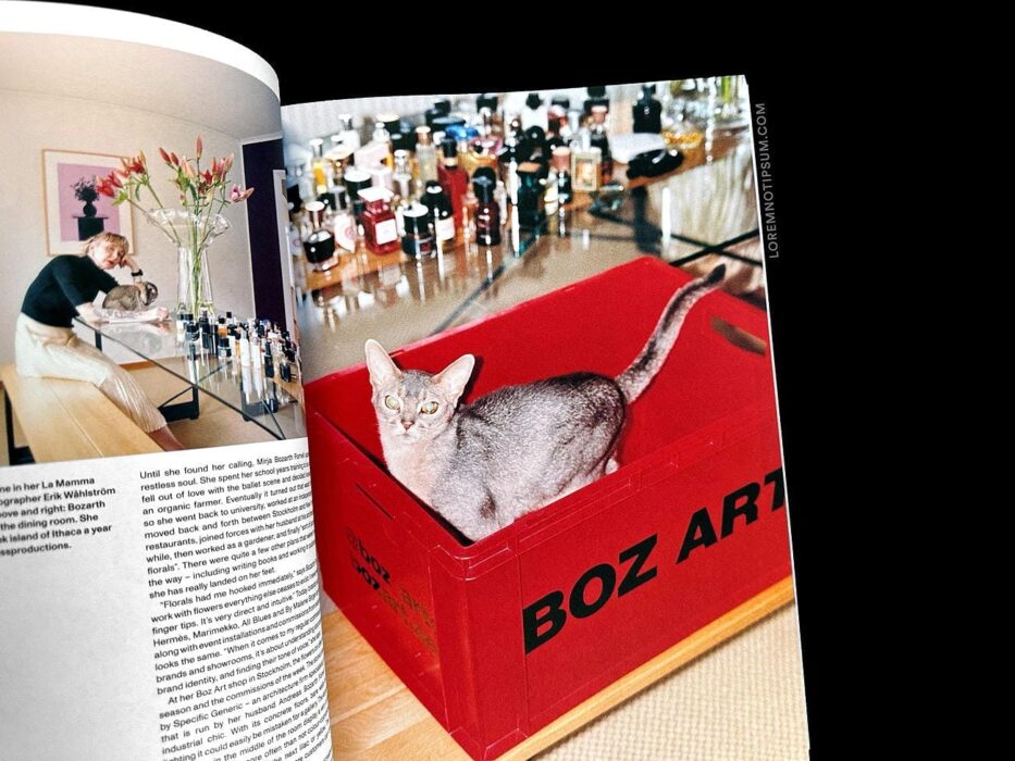 The New Era Magazine Issue 4 – loremnotipsum.com