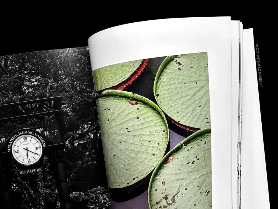 loremnotipsum_the-weekender-book-singapore_by_matthew-chen_04