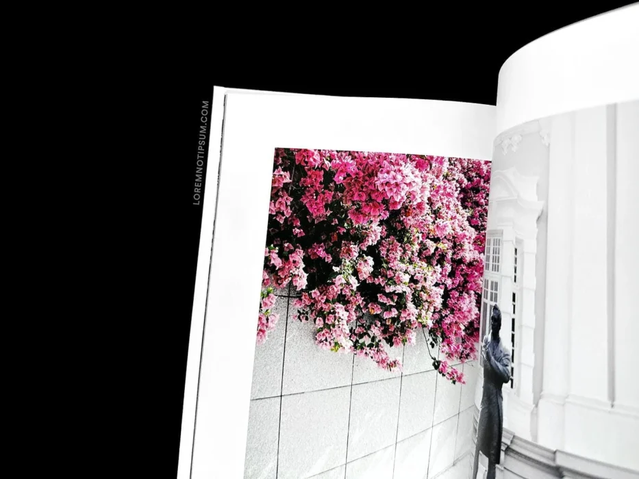 loremnotipsum_the-weekender-book-singapore_by_matthew-chen_17