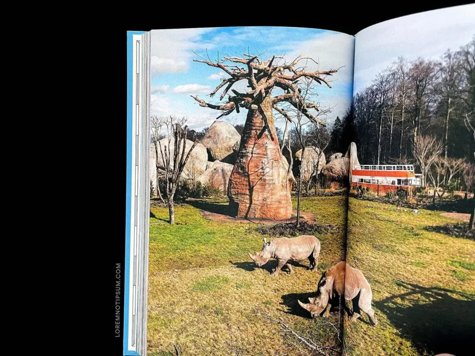 loremnotipsum_transhelvetica-buch_in-80-stunden-um-die-welt_02