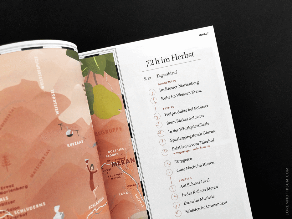 loremnotipsum_transhelvetica_ausgabe49_01