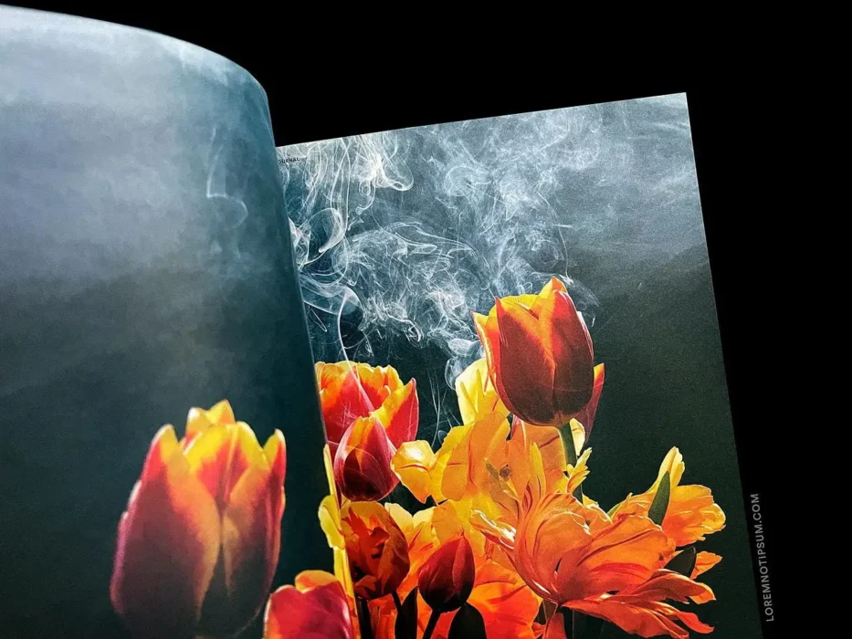 loremnotipsum_wild-alchemy-journal_issue2_15