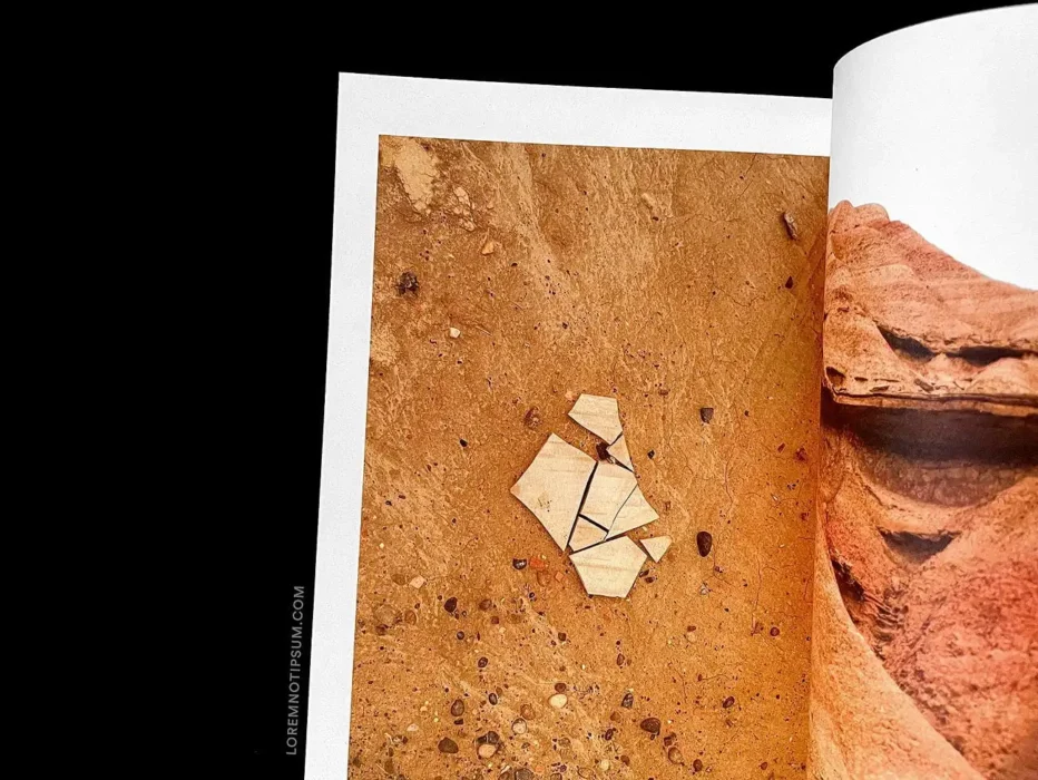 Wrong Journal Issue 1 – loremnotipsum.com