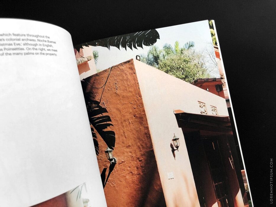 lormnotipsum_lindsay-magazine_issue1_11