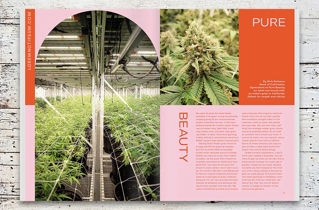 oremnotipsum_broccoli-magazine_issue12_01