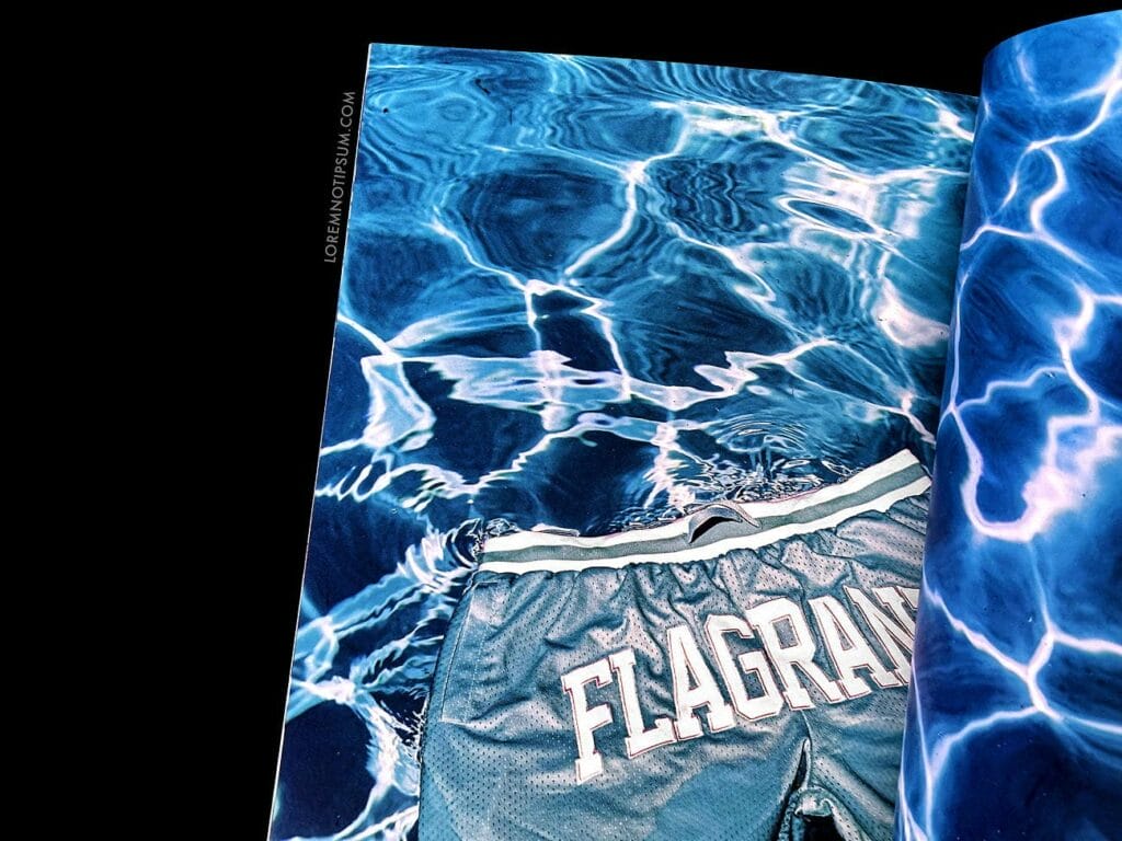 Flagrant Magazine Issue 4 – loremnotipsum.com