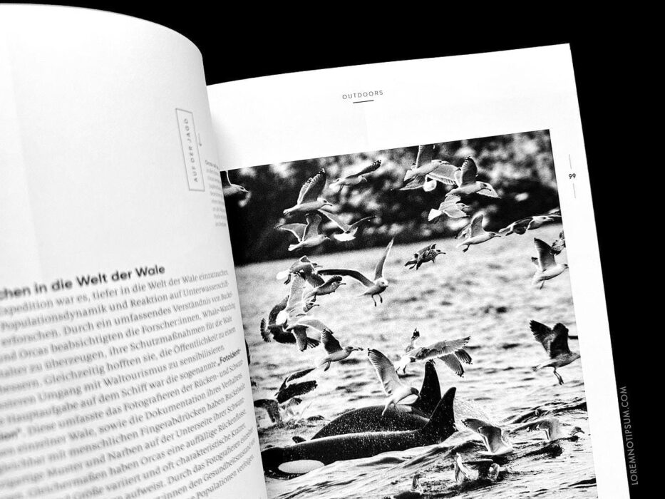 The Female Explorer No. 5 – loremnotipsum.com