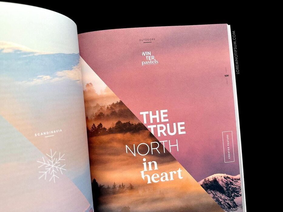 The Female Explorer No. 5 – loremnotipsum.com