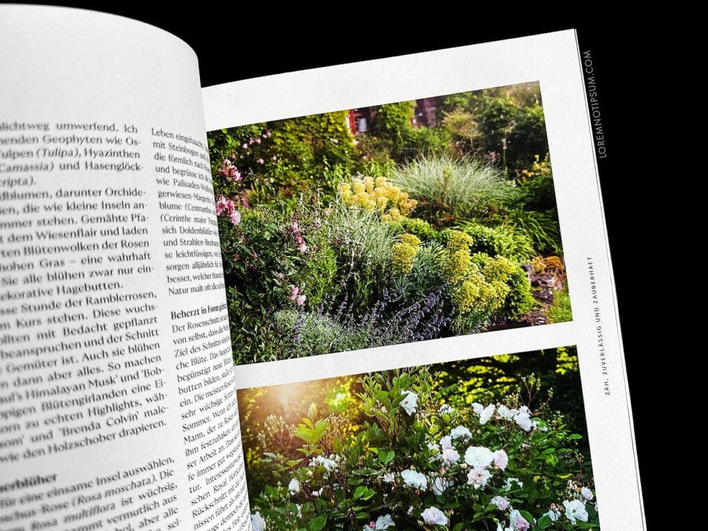 Gartenmythen Bookazine – loremnotipsum.com