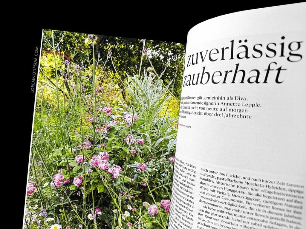 Gartenmythen Bookazine – loremnotipsum.com
