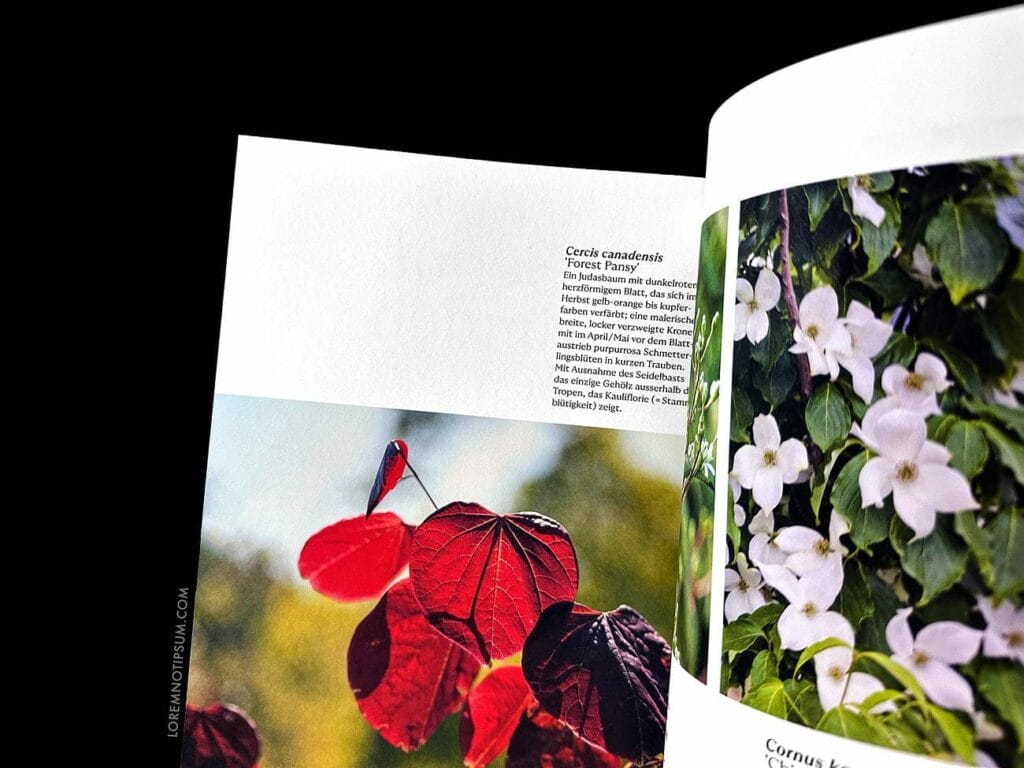 Gartenmythen Bookazine – loremnotipsum.com