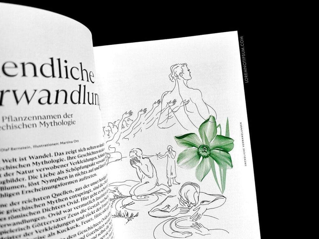 Gartenmythen Bookazine – loremnotipsum.com
