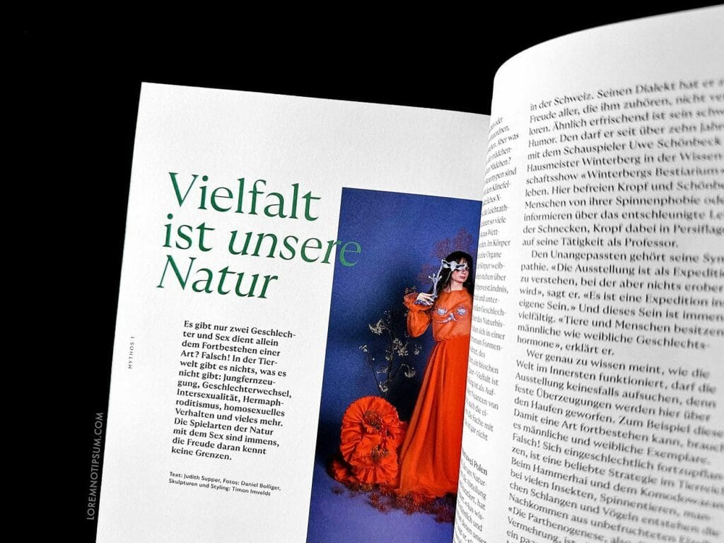 Gartenmythen Bookazine – loremnotipsum.com
