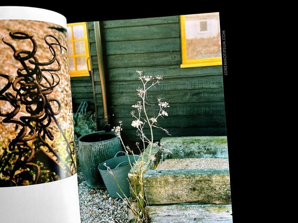 Period Zine Issue 9 – loremnotipsum.com