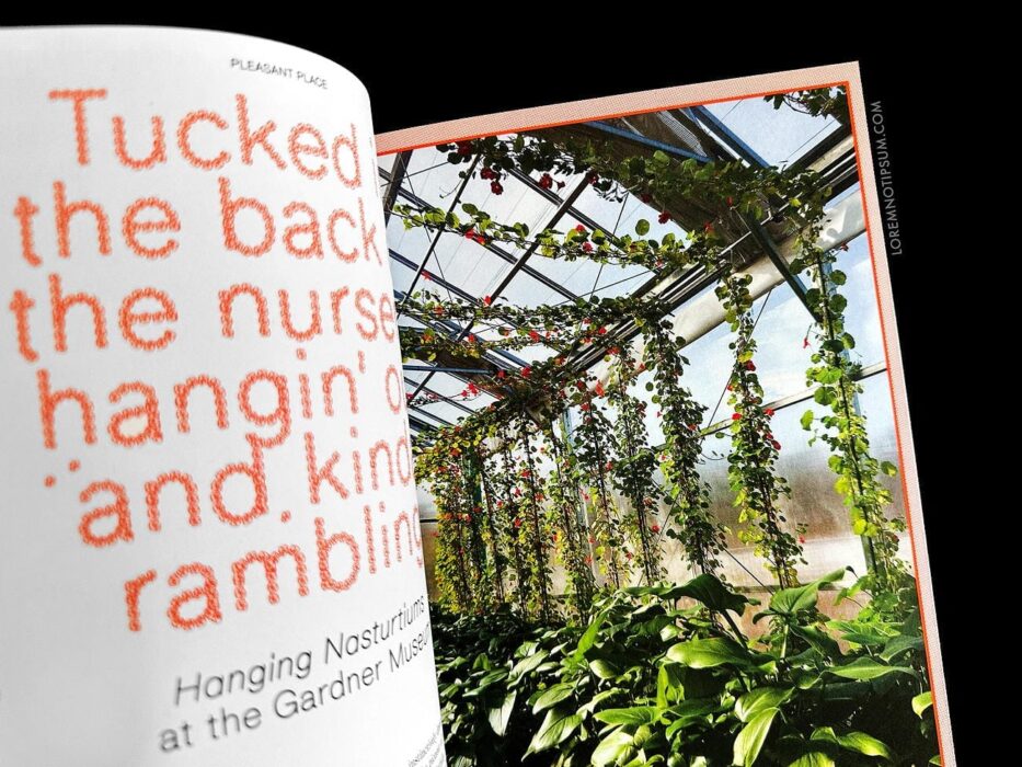 Pleasant Place Issue 2 (Nasturtiums) – loremnotipsum.com