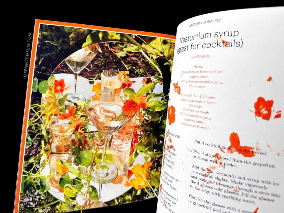 Pleasant Place Issue 2 (Nasturtiums) – loremnotipsum.com