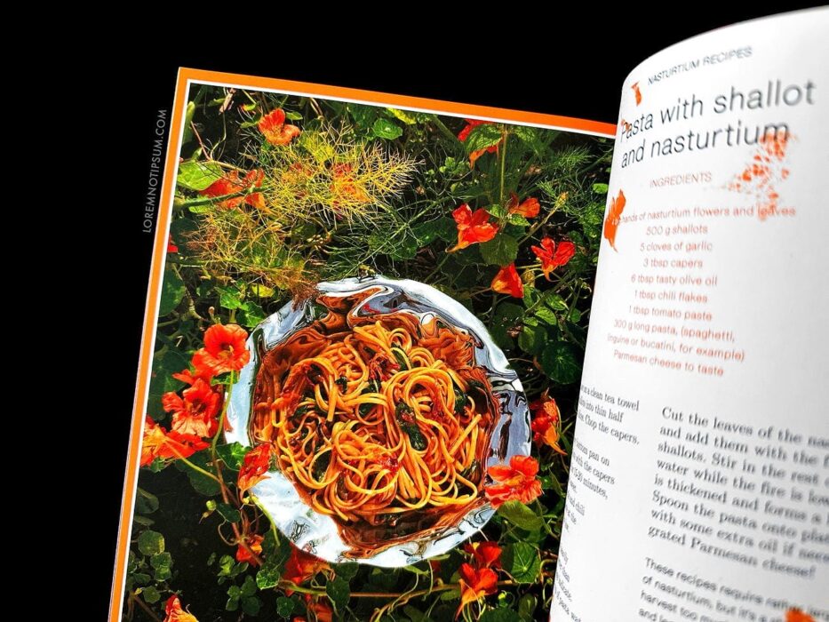 Pleasant Place Issue 2 (Nasturtiums) – loremnotipsum.com