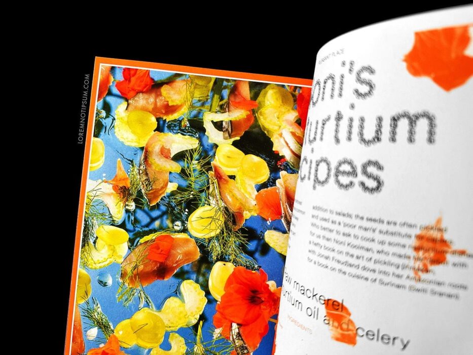 Pleasant Place Issue 2 (Nasturtiums) – loremnotipsum.com