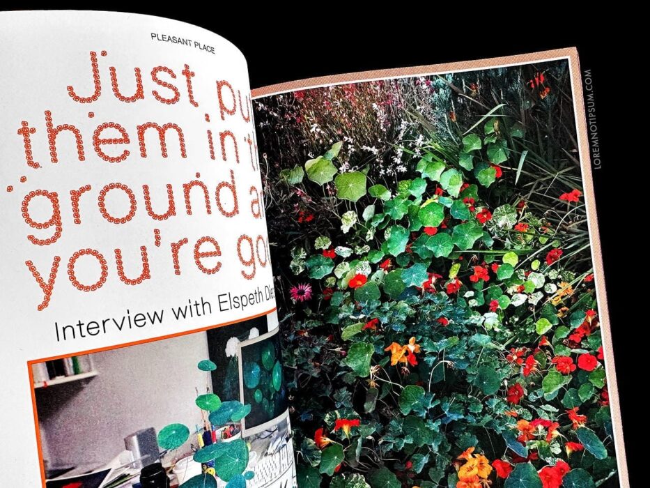 Pleasant Place Issue 2 (Nasturtiums) – loremnotipsum.com