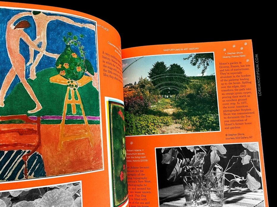 Pleasant Place Issue 2 (Nasturtiums) – loremnotipsum.com