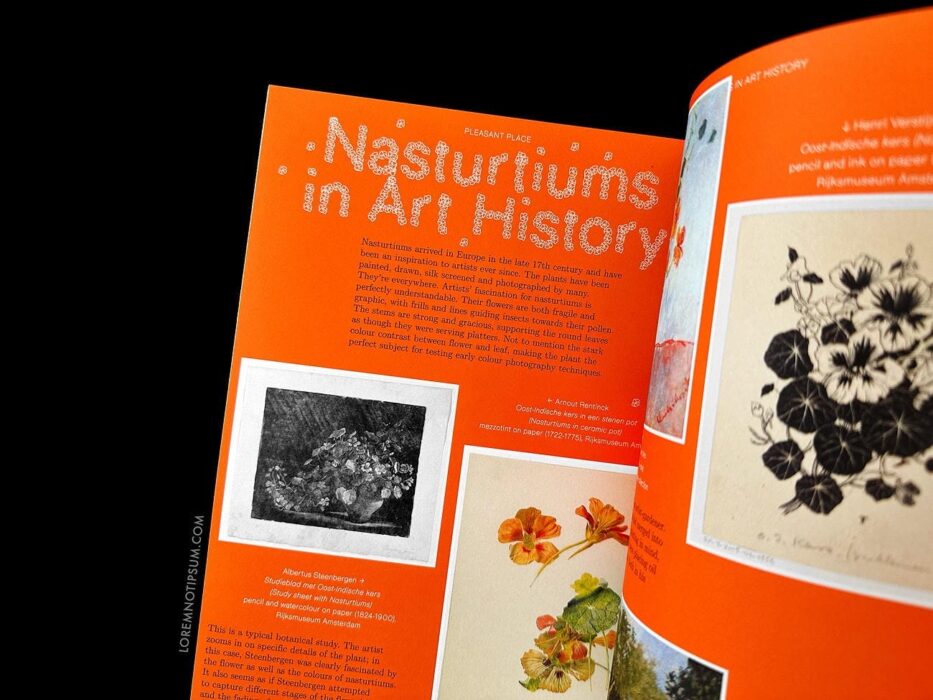 Pleasant Place Issue 2 (Nasturtiums) – loremnotipsum.com