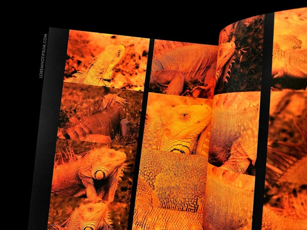 Cartography Magazine Issue 10 – loremnotipsum.com