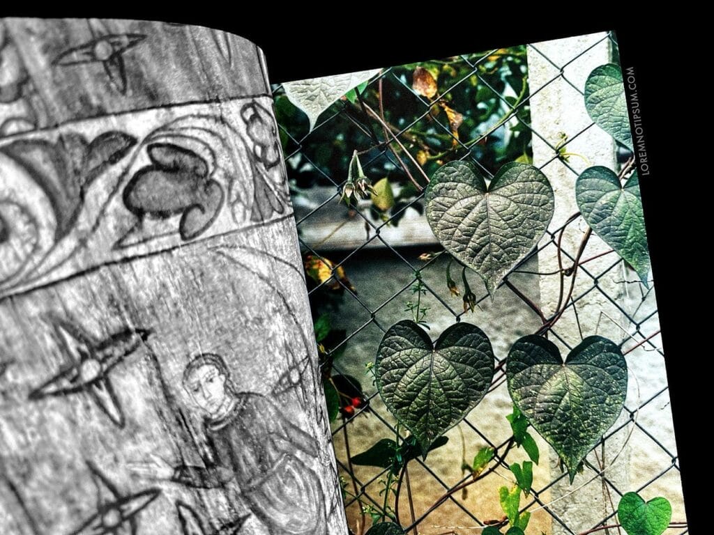 Cartography Magazine Issue 10 – loremnotipsum.com