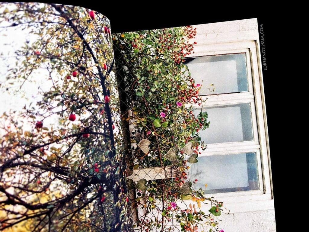 Cartography Magazine Issue 10 – loremnotipsum.com