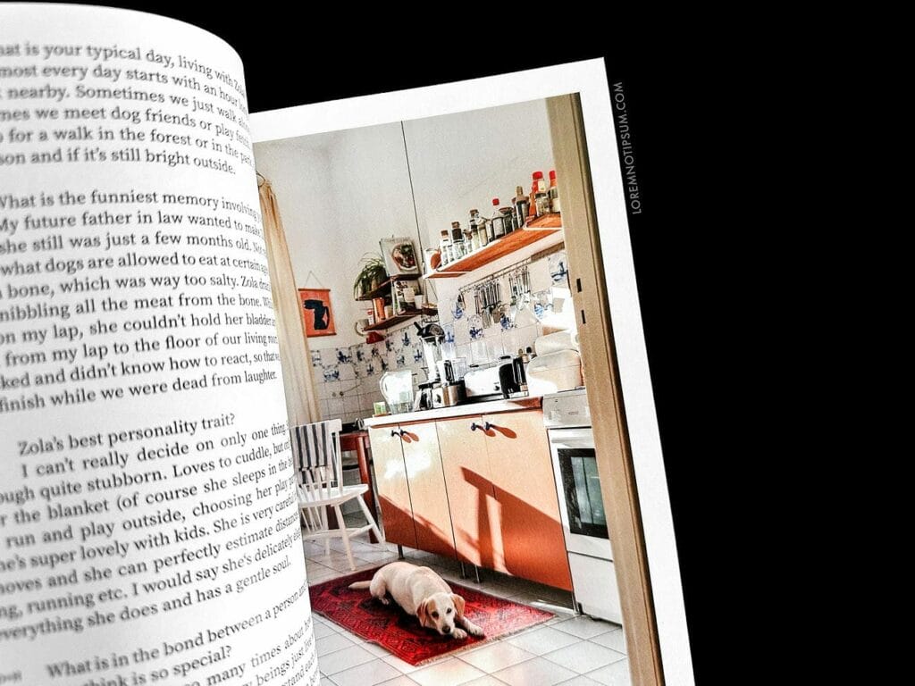 Dog+Human Magazine Issue 3 – loremnotipsum.com